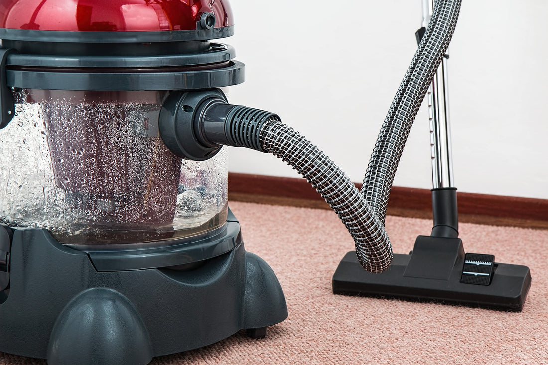 The Importance of Regular Vacuuming