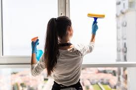 Cleaner+ Window Cleaner | Extra-strength Formula, eco-friendly